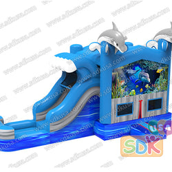 GWC-081 Dolphins  wet/dry combo