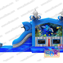 GWC-081 Dolphins  wet/dry combo