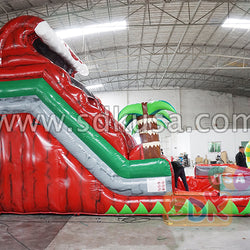 GWS-031 Wild world dual water slide