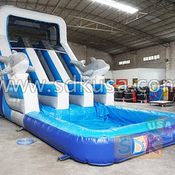 GWS-046 Dolphin dual water slide